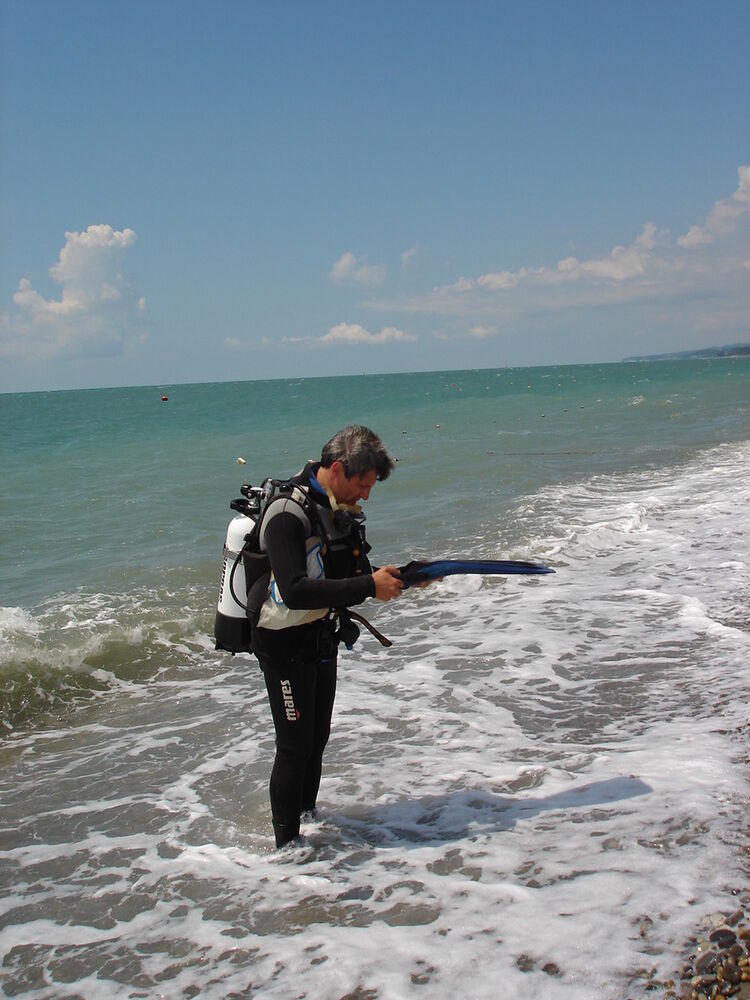 ���� 18468169 ������� ��������� �, 50 ���, ���� ���������� � �������-��-����