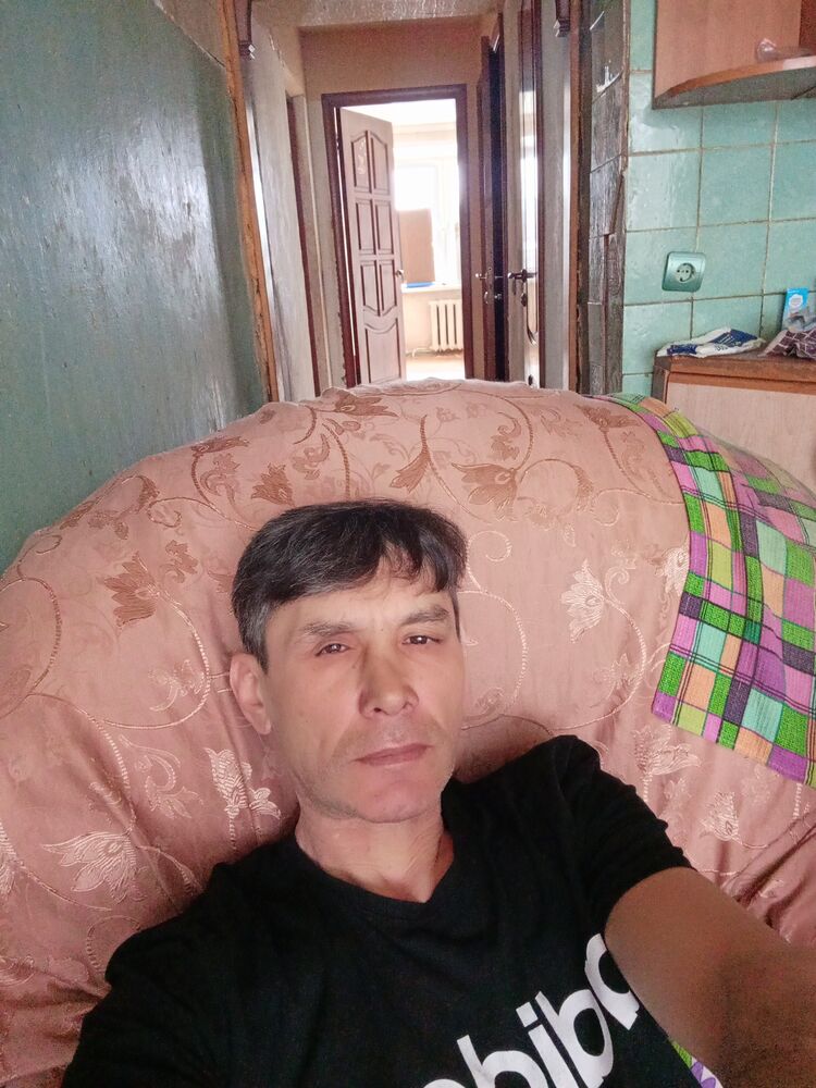  34331539  , 57 ,    