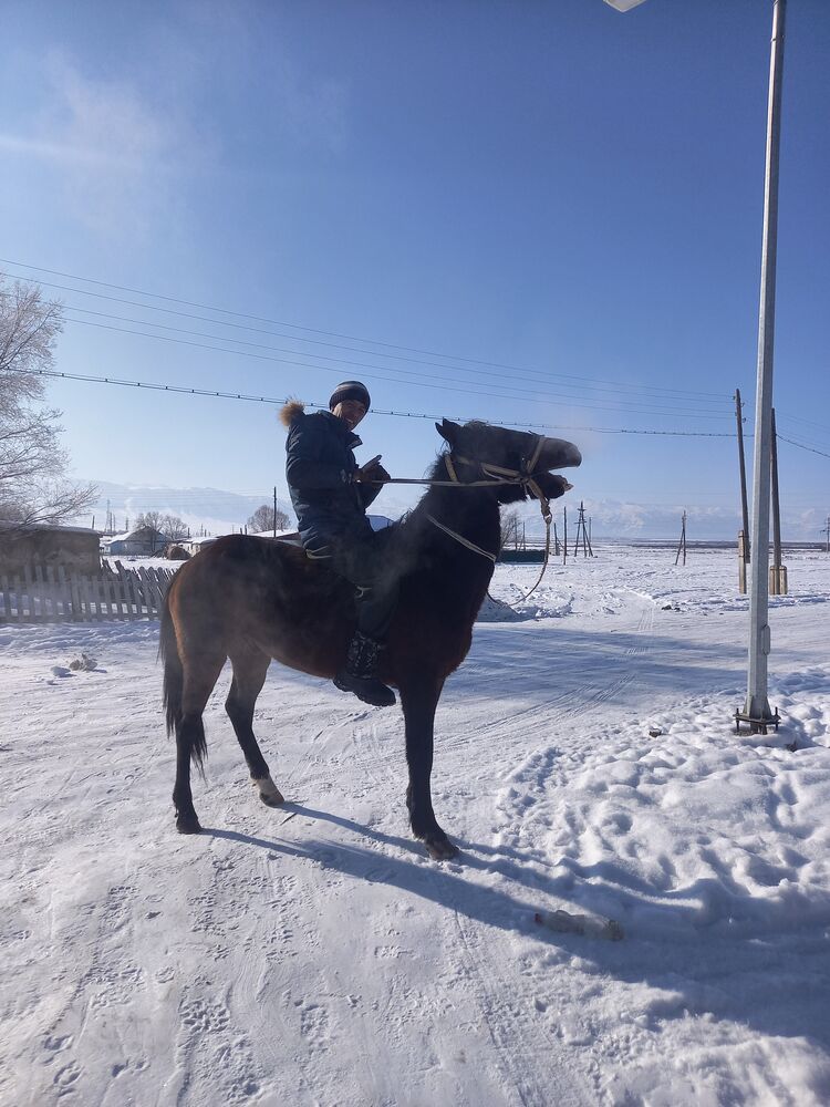 ���� 25214659 ������� �����, 37 ���, ���� ���������� � ������