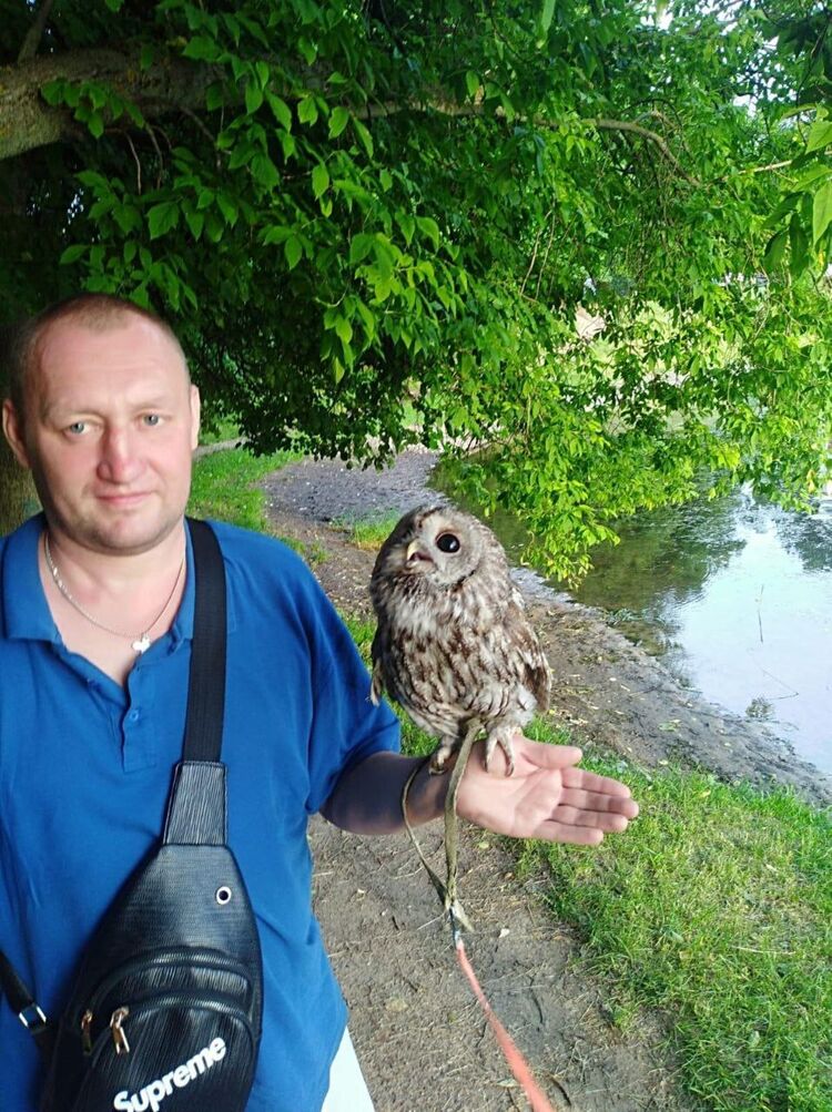 ���������� ������, ���� ������� ����, 47 ���, ������������ ��� ������, ����� � ���������