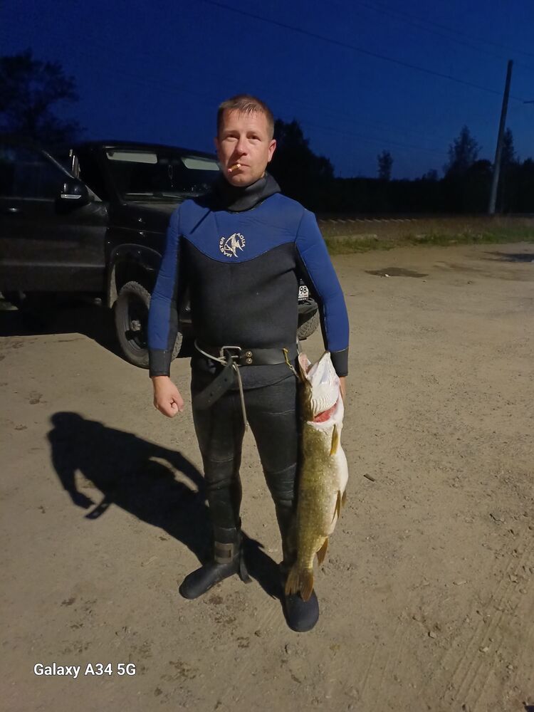 ���� 54779219 ������� ������, 36 ���, ���� ���������� � �����-����������