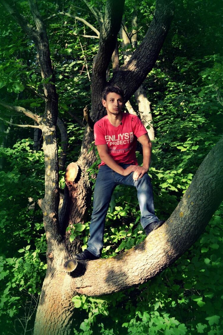  ,   Ratmir, 33 ,   ,   , c 