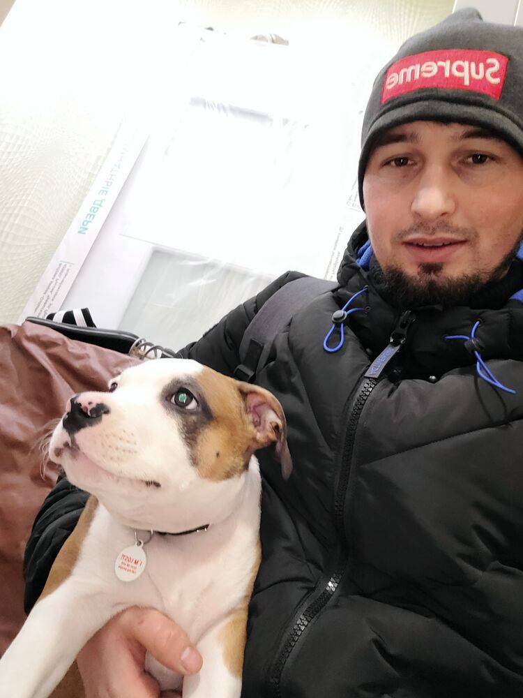  37696539  , 32 ,    -