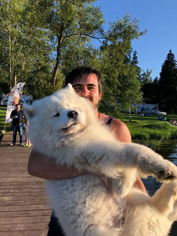 ���� 46952139 ������� ����, 32 ����, ���� ���������� � ������