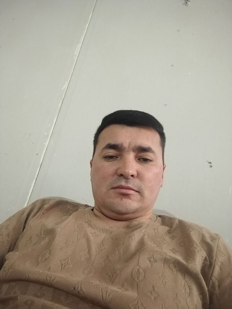  51512699  , 37 ,    
