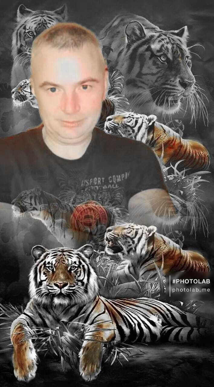  27515239  , 45 ,    -