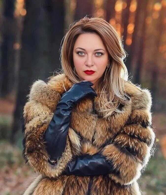  --,   , 41 ,   ,   