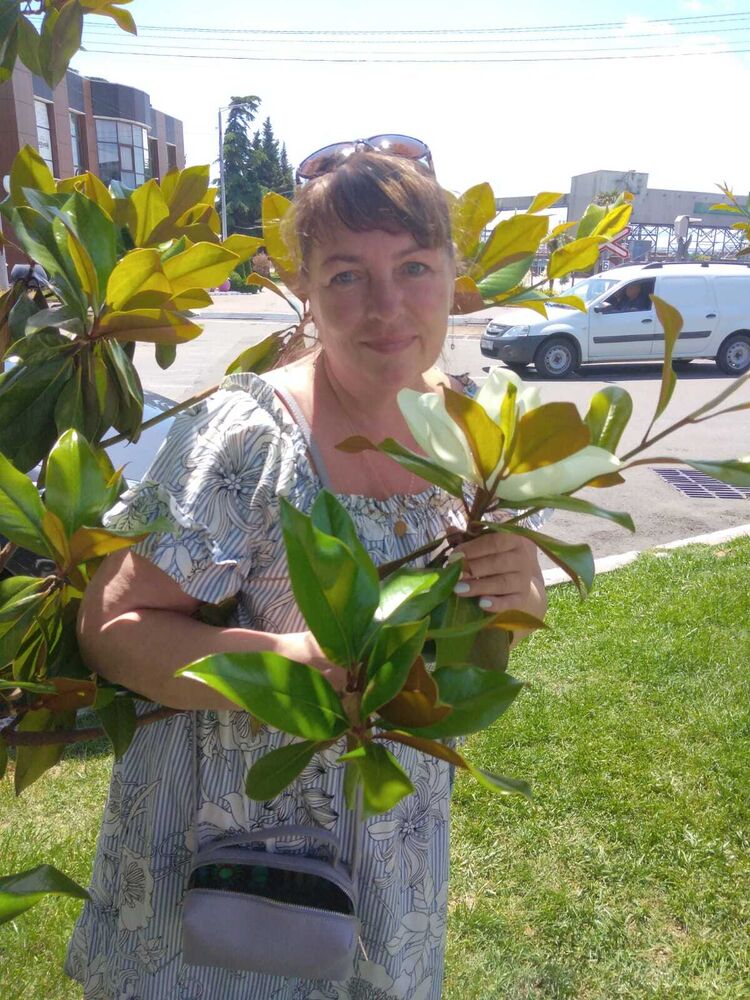  -,   , 53 ,   ,   , c 