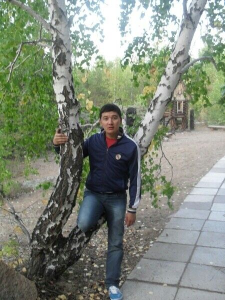 ���� 8453149 ������� Askar, 40 ���, ���� ���������� � ������