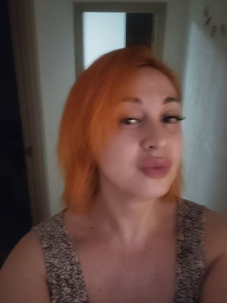  53126439  , 43 ,    