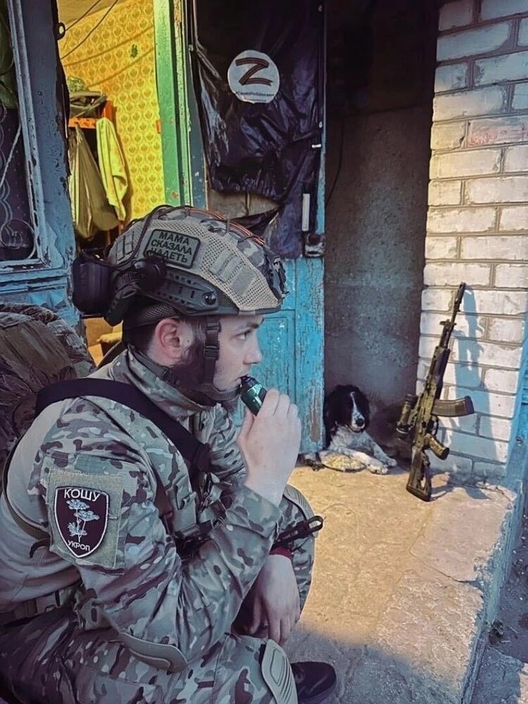 ���� 36659159 ������� ������, 26 ���, ���� ���������� � �������������