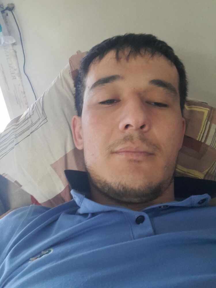 ���� 33135129 ������� ������, 36 ���, ���� ���������� � ���������