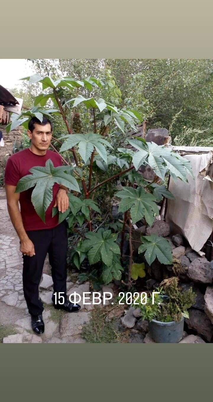  45660209  , 39 ,    