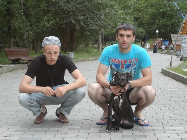 ���������� �������, ���� ������� Giorgi, 40 ���, ������������ ��� ������, ����� � ���������, c�������� ���������