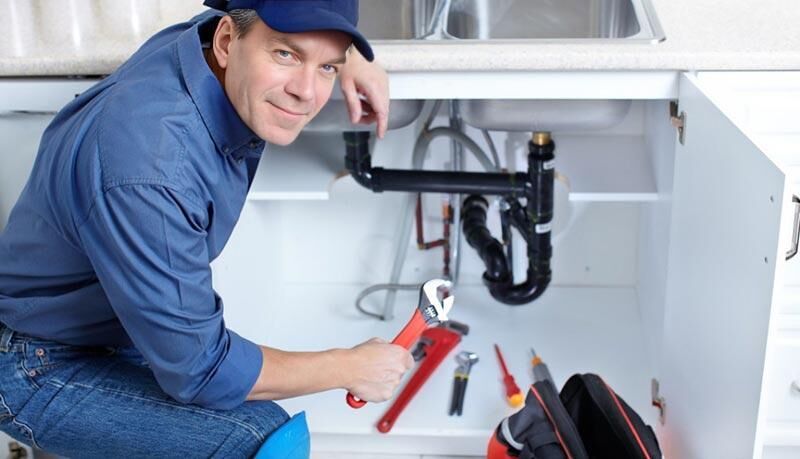 ���� 52919359 ������� �������, 51 ���, ���� ���������� � ����������