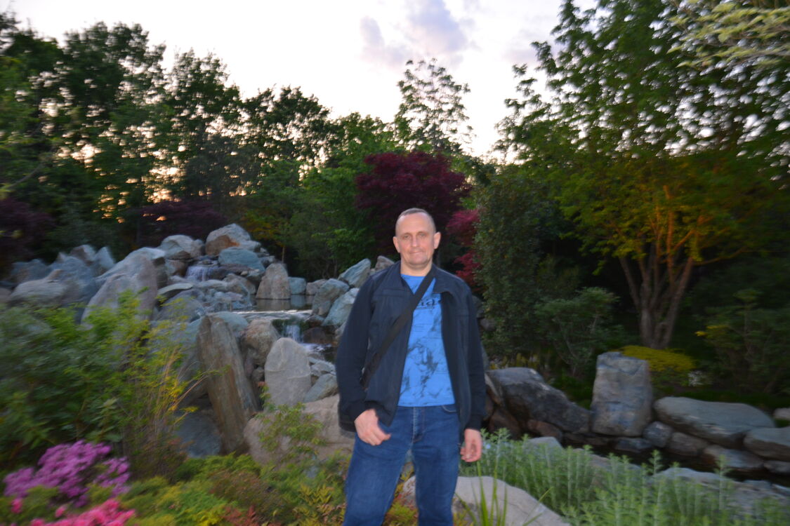 ���� 54771789 ������� �������, 49 ���, ���� ���������� � ������