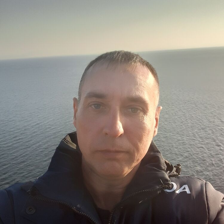  31063309  , 46 ,     