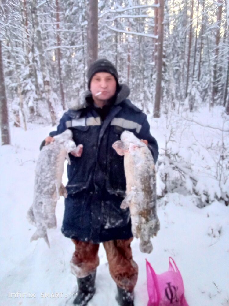  52862499  Alexander, 43 ,    