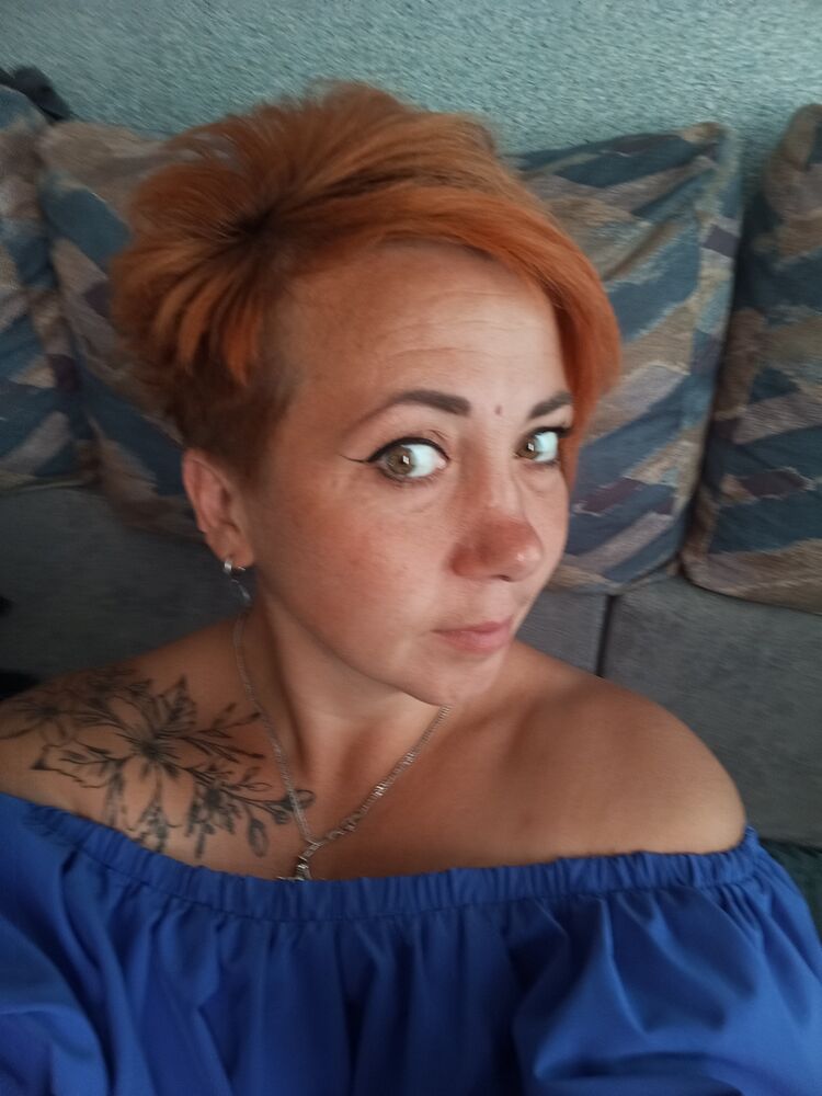 43390669  , 40 ,    