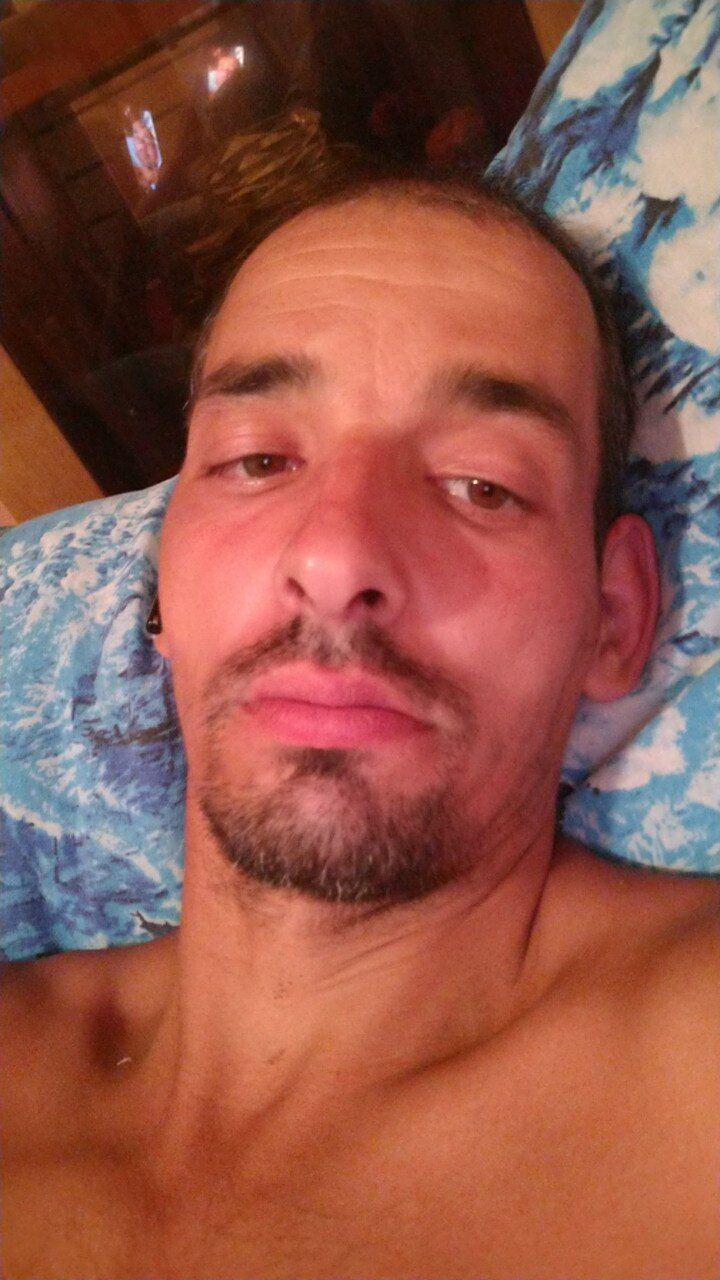  36497439  , 41 ,    