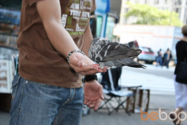 ���������� �����-���������, ���� ������� Daniyar, 40 ���, ������������ ��� ������, ����� � ���������, c�������� ���������