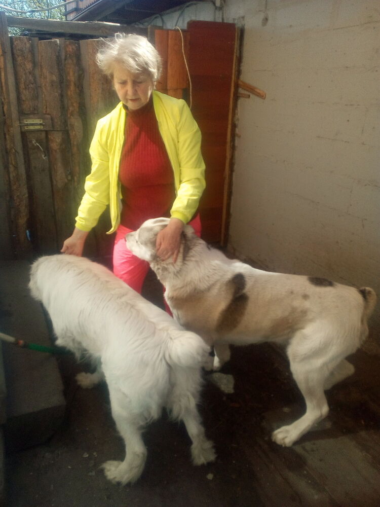  12461959  HADIH, 68 ,    