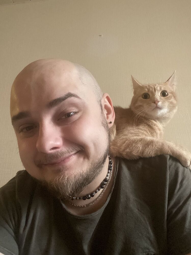 ���������� �����, ���� ������� ���������, 29 ���, ������������ ��� ������, ����� � ���������