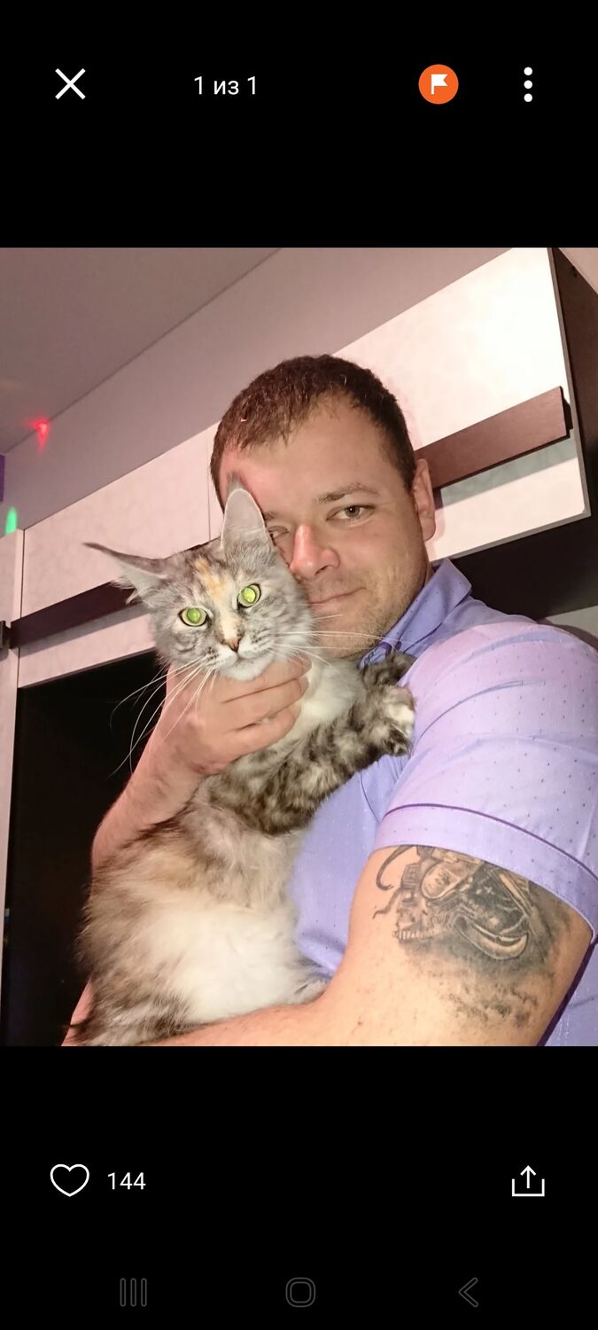 ���� 55196459 ������� ����, 42 ����, ���� ���������� � �������������