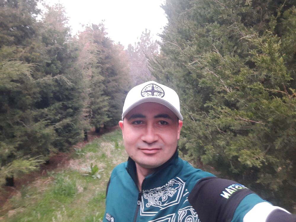 ���� 24766399 ������� Sarvar, 36 ���, ���� ���������� � ��������