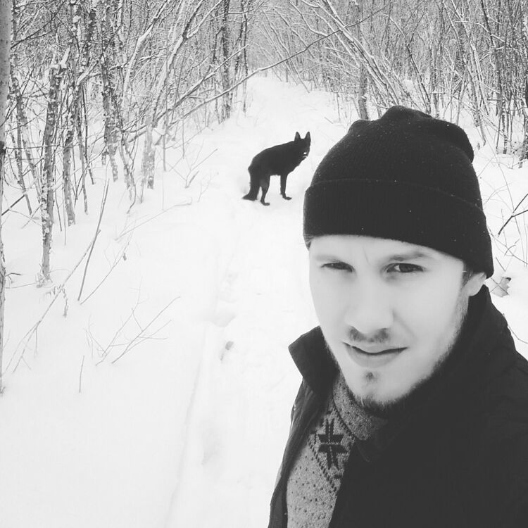 ���� 33743579 ������� ����, 33 ����, ���� ���������� � �����