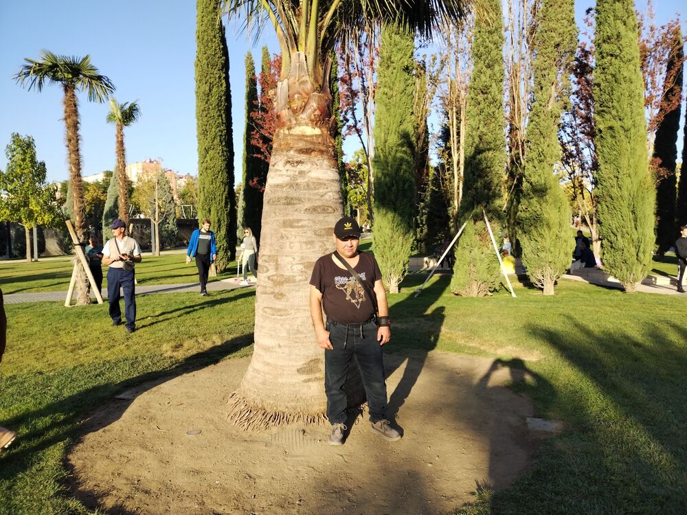 ���� 38805649 ������� �����, 45 ���, ���� ���������� � ����������