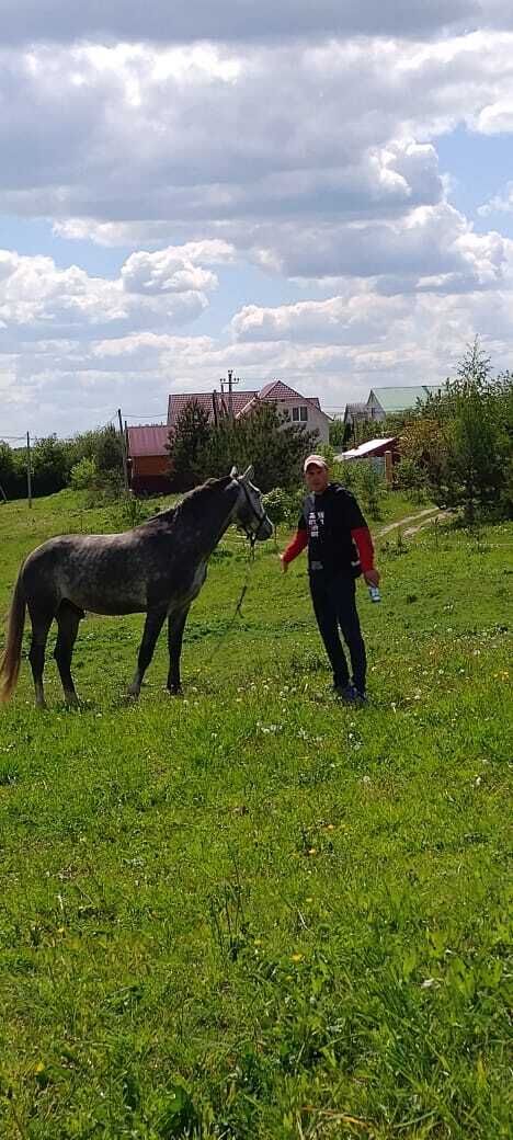 ���������� ������������, ���� ������� ������, 38 ���, ������������ ��� ������, ����� � ���������