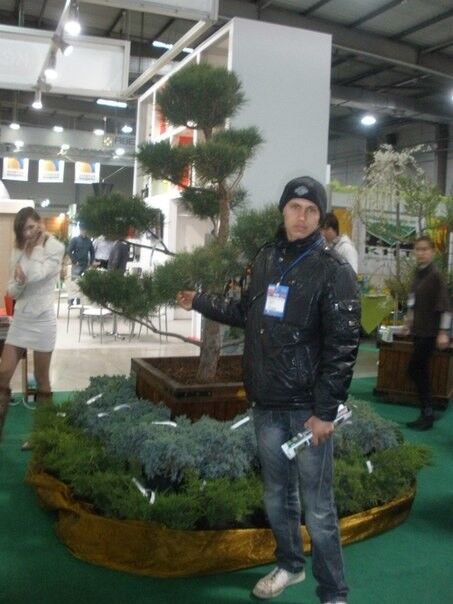  5839499  DAMIR, 32 ,    
