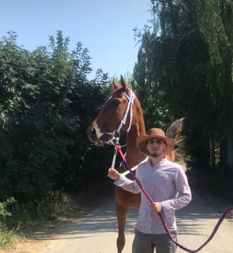 ���������� ������, ���� ������� �����, 34 ����, ������������ ��� ������, ����� � ���������