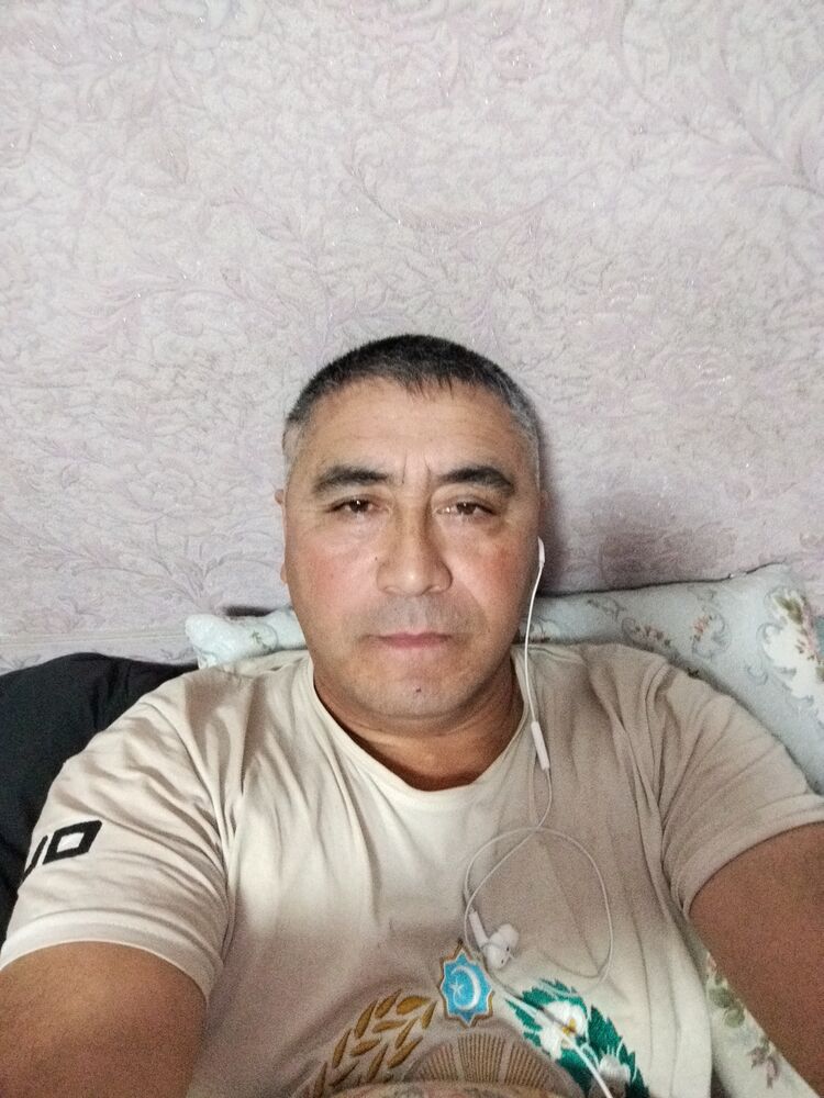  47462019  , 44 ,    