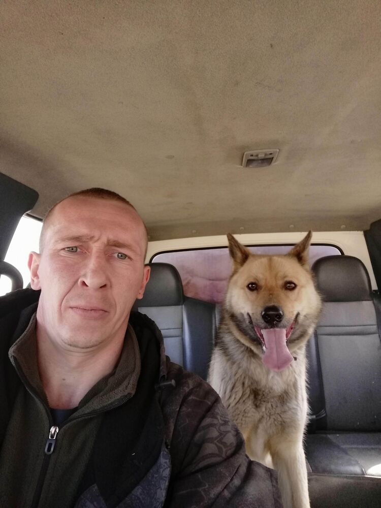 ���� 55476739 ������� ���������, 38 ���, ���� ���������� � ����������