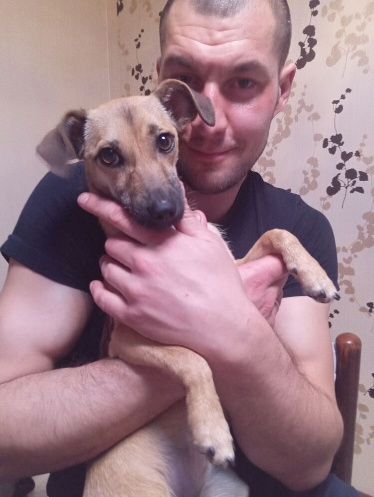 ���������� �����������, ���� ������� ������, 31 ���, ������������ ��� ������, ����� � ���������