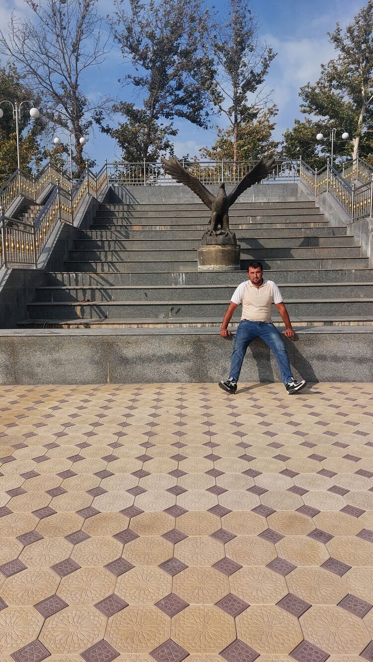 ���� 41069509 ������� ����, 34 ����, ���� ���������� � ������������