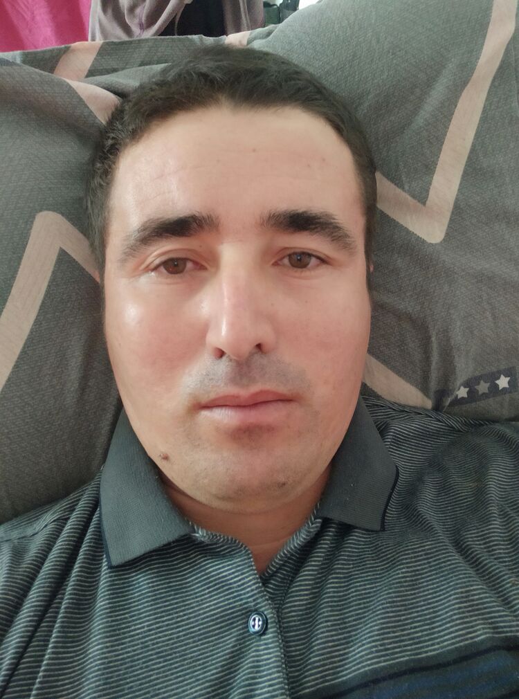  44628779  , 36 ,    