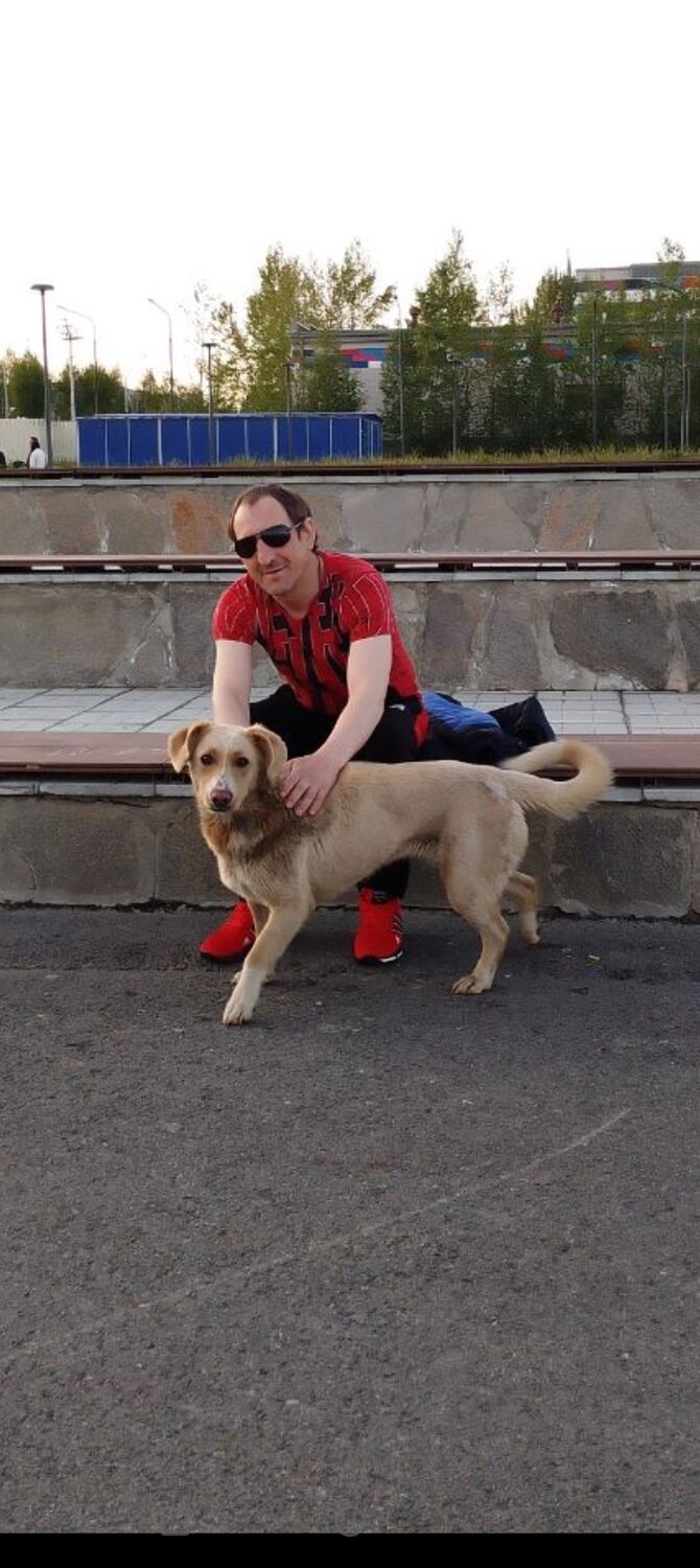  ,   Sergey, 36 ,   ,   , c , 