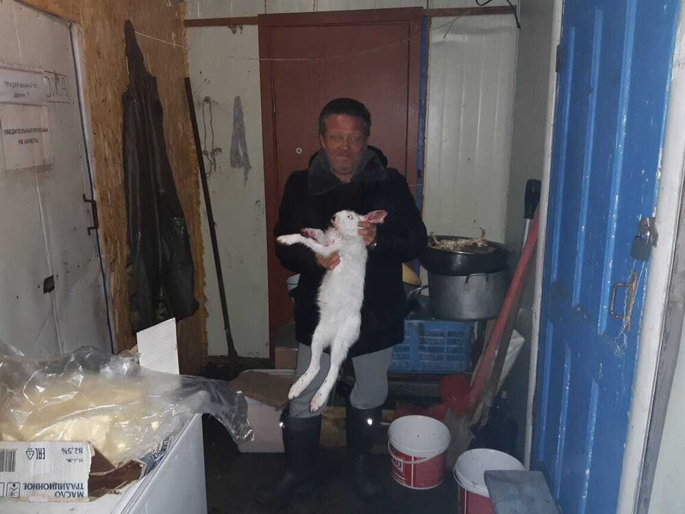 ,   , 48 ,   ,   