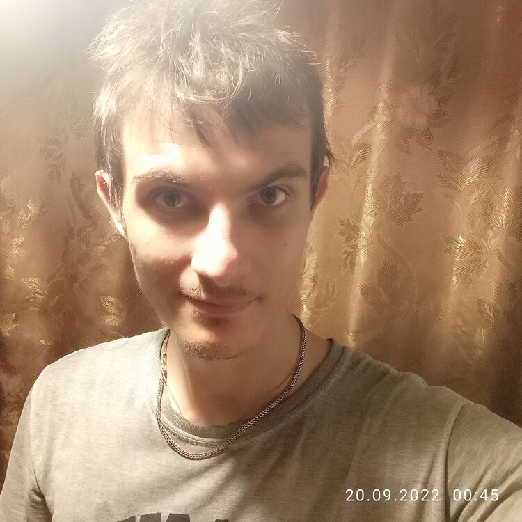  29338309  , 27 ,    