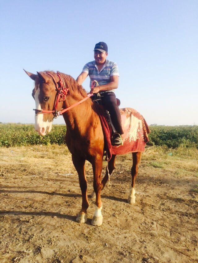 ���� 16079189 ������� ����, 36 ���, ���� ���������� � ��������