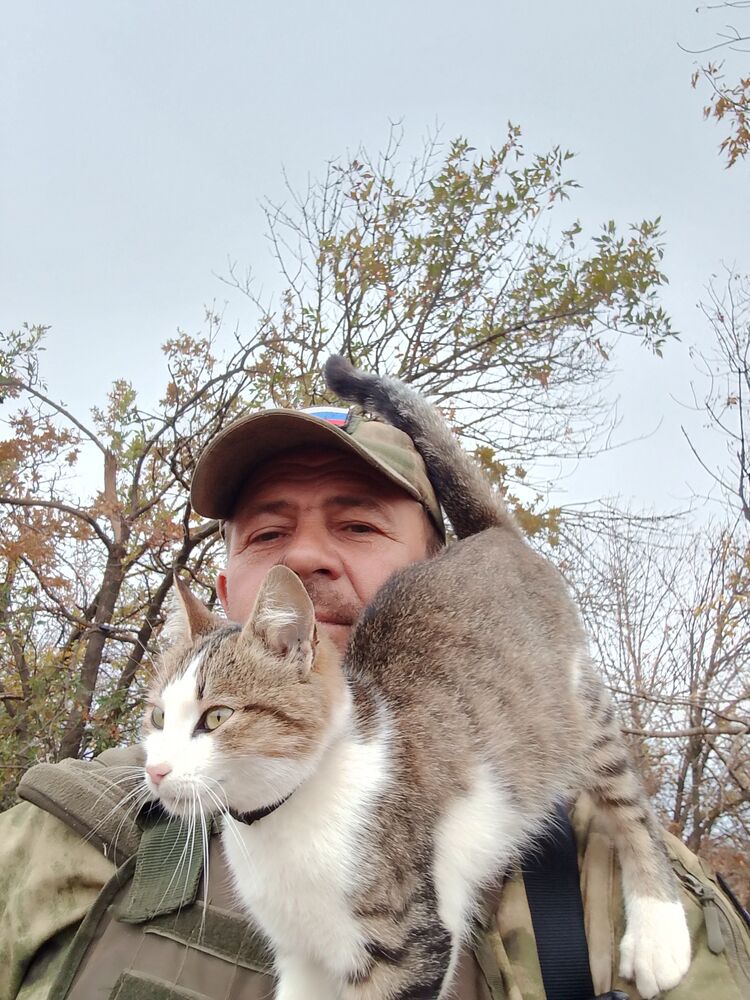 ���� 55505079 ������� ���������, 49 ���, ���� ���������� � ����������