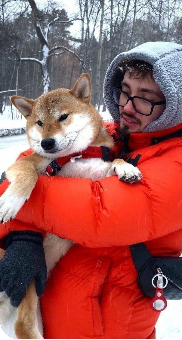 ���� 48613819 ����� ������, 21 ���, ���� ���������� � ������