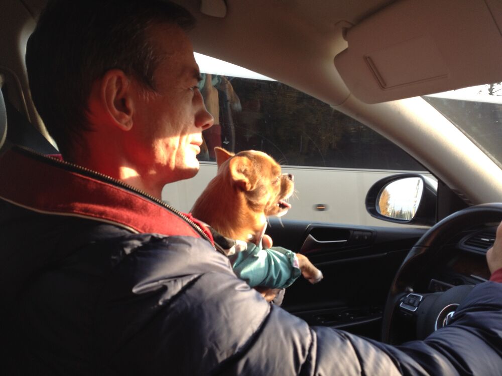 ���������� ������, ���� ������� ������, 50 ���, ������������ ��� ������, ����� � ���������