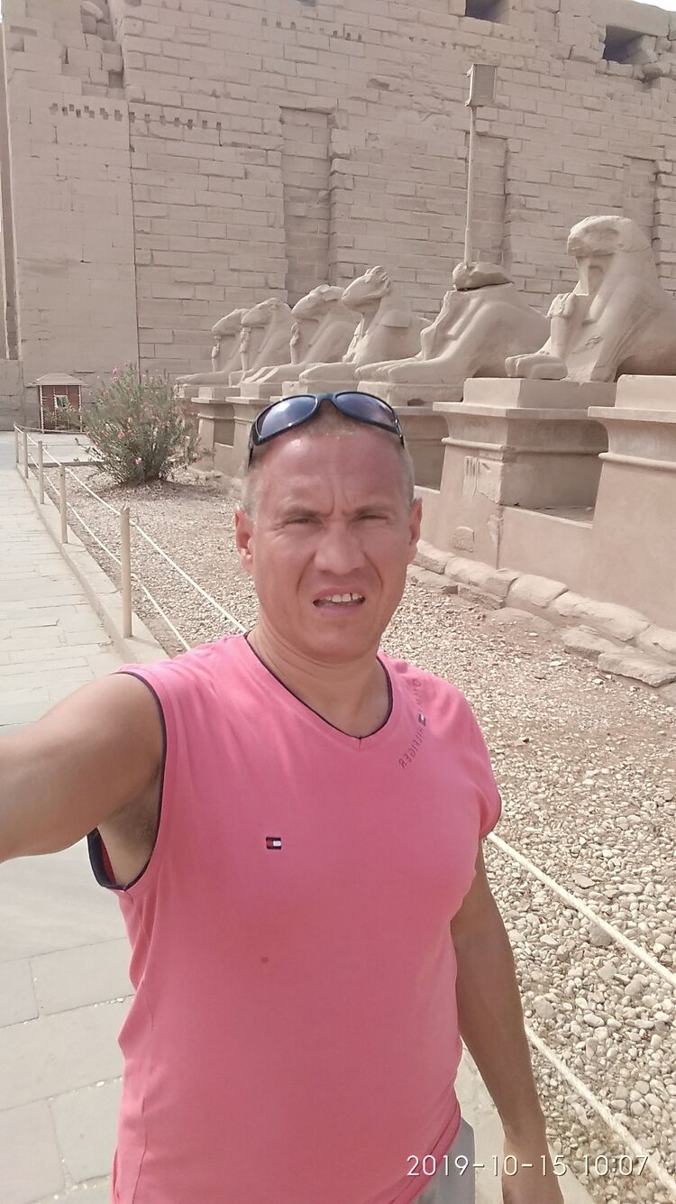 ���� 31426879 ������� ������, 51 ���, ���� ���������� � �����