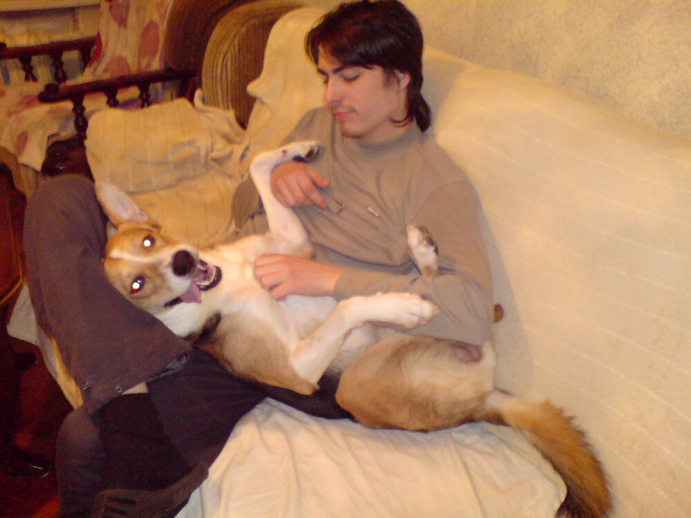 ���������� ������, ���� ������� ���, 38 ���, ������������ ��� ������, ����� � ���������, c�������� ���������