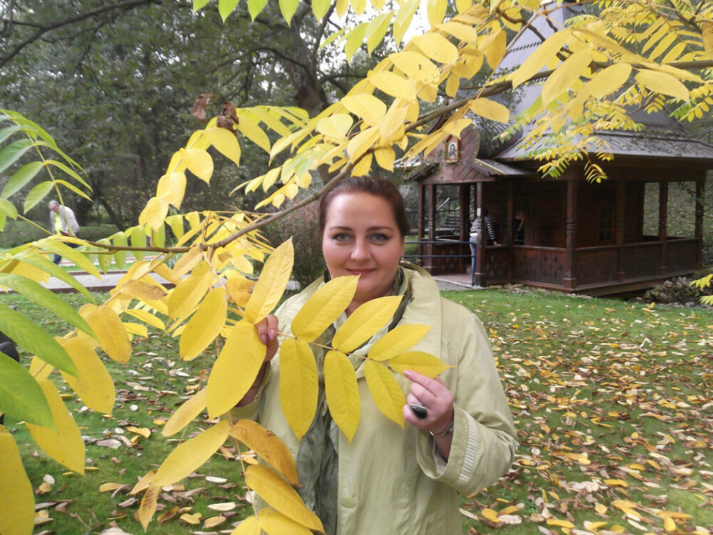 ���������� ������, ���� ������� ������, 52 ����, ������������ ��� c�������� ���������