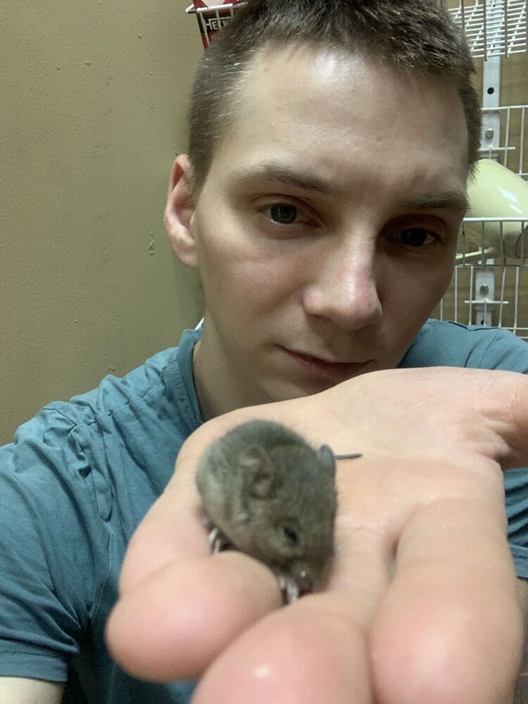 ���� 49816879 ������� �����, 28 ���, ���� ���������� � ������ ���������